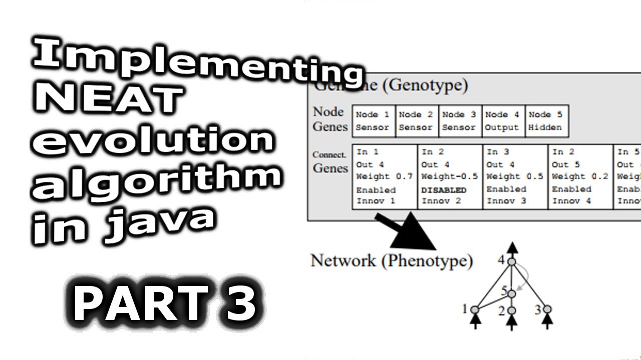 Implementing NEAT algorithm in java - PART 3 - YouTube