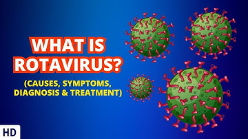 Inside the Tummy Troubles: Diving Deep into the World of Rotavirus Infections