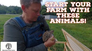 EASY Beginner Farm Enterprise - Pastured Rabbit