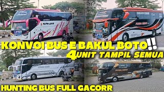 KONVOI PALING GACOR | BUS BAKUL BOTO KELUAR 4 UNIT SERENTAK🔥HUNTING BUS FULL GACOR DICELOSIA🤩