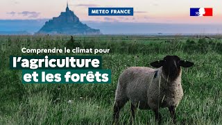 CLIMADIAG AGRICULTURE ET FORÊT : s’adapter au réchauffement climatique screenshot 1