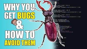 WHY Your Game Gets BUGS & HOW to FIX Them! (With A Focus On LÖVE & Lua)