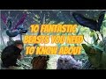 10 Fantastic Beasts You Need To Know - Fantastic Beasts Explained