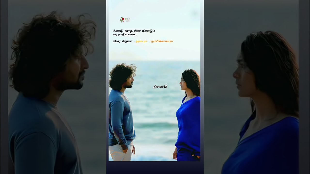  True Line Love Feelings Status Sed Shorts Shortvideo Shortsfeed Reels Explore Tranding