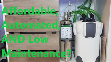 The Best CO2 Kit for Freshwater Aquariums You Didn