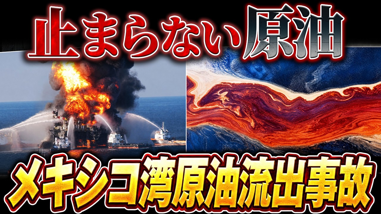 Why Were the Warnings Ignored? [The Truth Behind the Deepwater