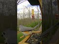 Tufted opening sunflower seeds  #birdfeeding #birdwatching