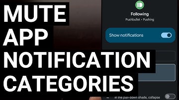 How to Mute a Specific App Notification Category on Android?