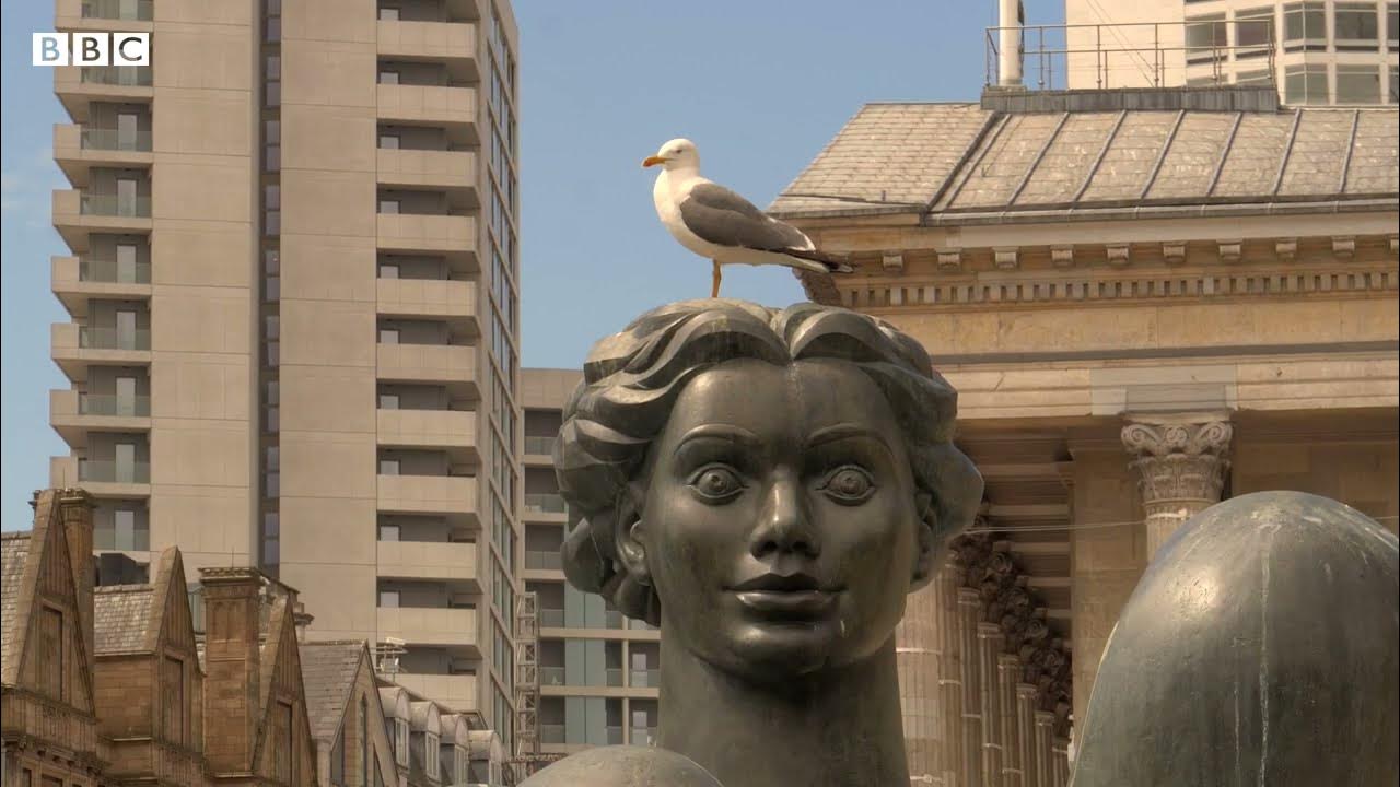 Water restored for Birmingham's 'Floozy in the Jacuzzi' YouTube