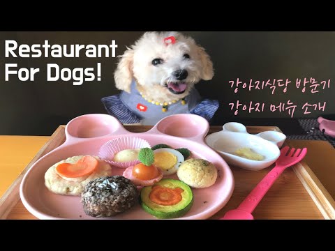 [ENG]Special Restaurant for Dogs! 강아지식당 방문기, Dog Review Pet Friendly Restaurant Food, Menu for Dogs