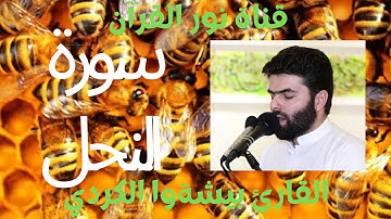 أجمل تلاوة سورة النحل كاملة بصوت القارئ بيشەوا الكردي 2022 #سورة_النحل #بيشةوا_قادر_الكردي