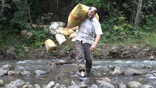 Village documentary - Hazelnut collection season