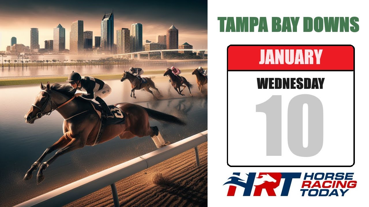 Tampa Bay Downs 2024 Schedule Time