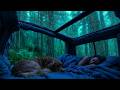 🌲 Forest Rain on a Cozy Camper Night 🌧️ Deep Sleep Ambience with a Sleeping Dog