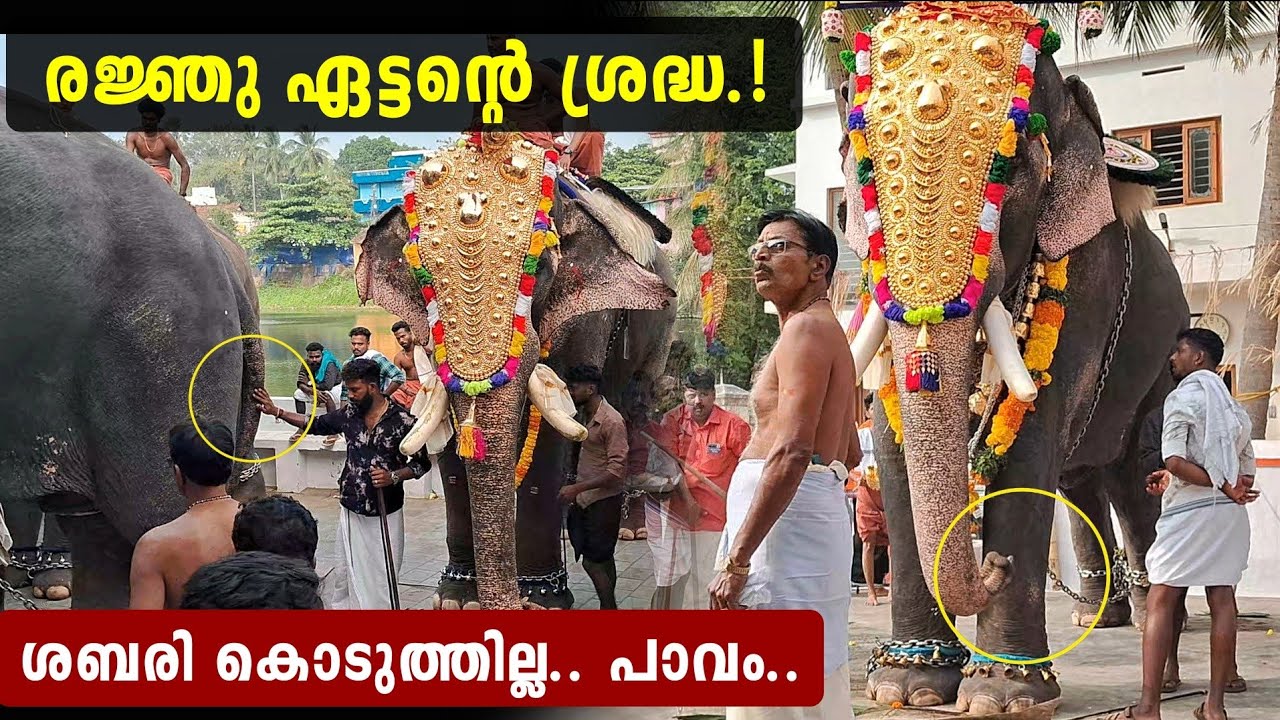 വാലിൽ പിടിച്ചു മാറ്റി രഞ്ജു ഏട്ടൻ🫣👌🏻 ഗോപുഉണ്ണിയപ്പം ചോദിച്ചിട്ട് ആണേൽ കൊടുത്തതും ഇല്ല.!!!!