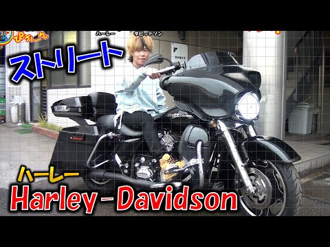 【希少】ハーレーダビッドソン 走るバイク13台セット 希少】ハーレーダビッドソン 走るバイク13台セット - メルカリ
