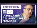 La mise à mort de l'agriculture française - Entretien