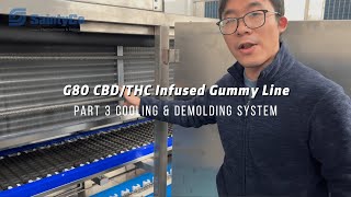 CBD THC Gummy Production Equipment 80 150kg h Gummy Manufacturing Process pt 3 3
