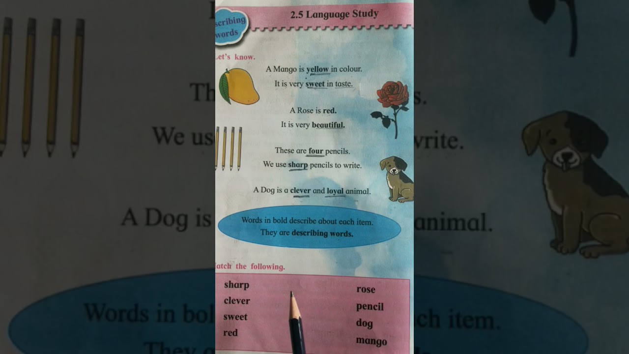 2x 3y 2 X Y 2 1 2 Solve By Using Cramer S Method 10th Maths Linear Equations In Two Variables Youtube