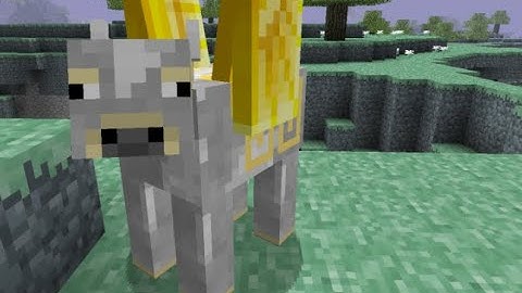 The Aether datapack (not the mod)