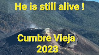 2023 Cumbre Vieja is still alive!1.5 Years after volcanic eruption La Palma volcano.Drone footage 4K