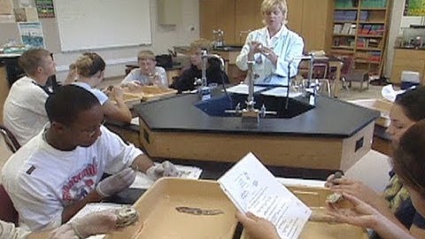 Online Learning Personalizes Education at the Florida Virtual School