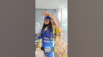 Street Sweepers Turn Fallen Leaves into Living Art