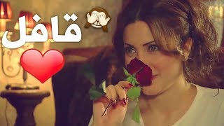 حالات واتساب للعشاق || قافل على حبك 🔐👉 || نسرين طافش - قيس شيخ نجيب