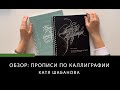 ОБЗОР: ПРОПИСИ ПО КАЛЛИГРАФИИ