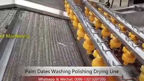 Dates washing and drying line