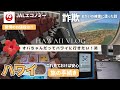 【オトナのハワイ旅】旅の手続き/JALエコノミー席＆ラウンジ/久々のハワイが楽し過ぎた！Hawaii Vlog #hawaii #ハワイ #jal