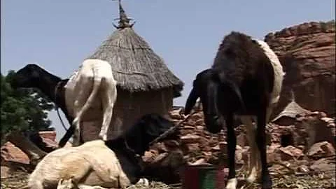 MALI PAYS DOGON