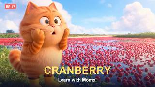 Learn Fruits in English EP17: Cranberry