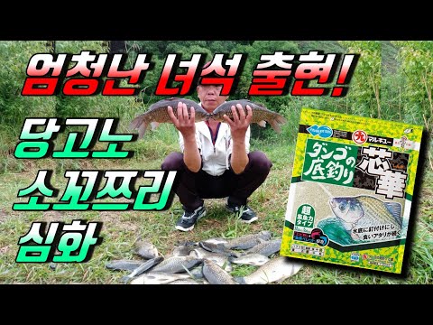 당고노 소꼬쯔리 심화 # 바닥낚시용 꽁알떡밥 # 자연지 관리터 떡밥