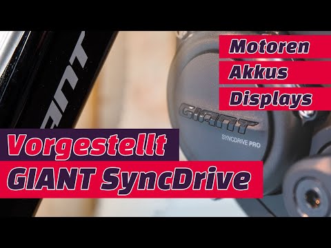 GIANT SyncDrive erklärt: Motoren, Akkus, Displays und Smartphone App