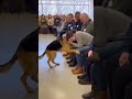 The moment he chose his forever human 😭❤️