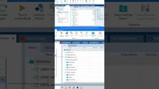 Tricentis Tosca Browser Zoom
