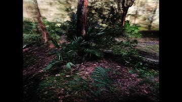 “Balanced Imbalance” -- #houdini #pointcloud #treefall #shorts