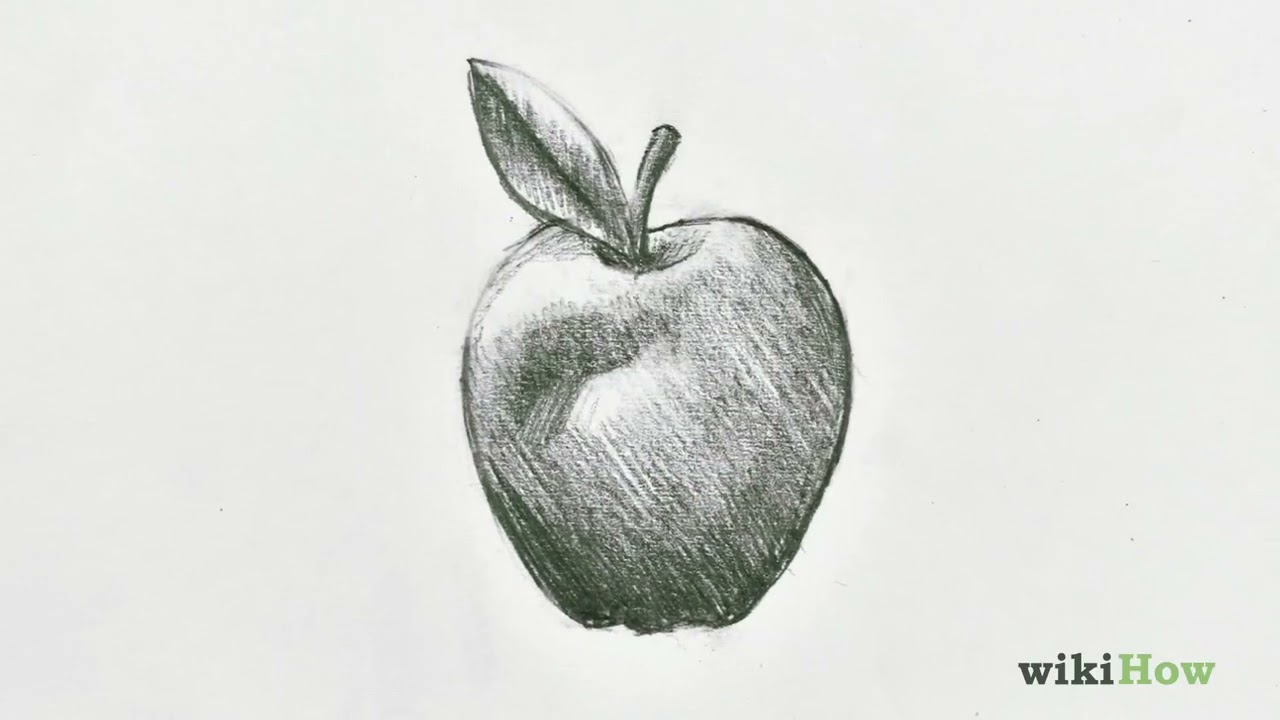 Apple Drawing Images - Free Download on Freepik