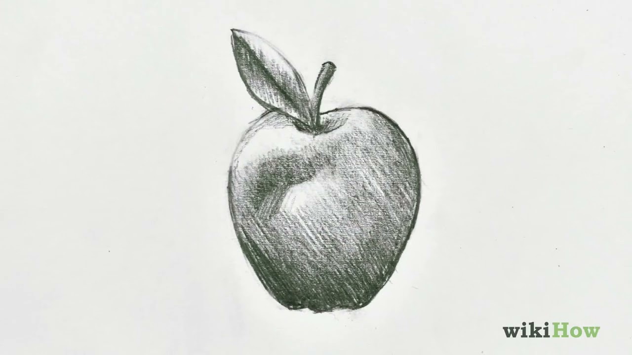 How to Draw an Apple for Beginners