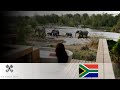 Lodolozi luxury safari lodges in kruga park  i  south african vacation