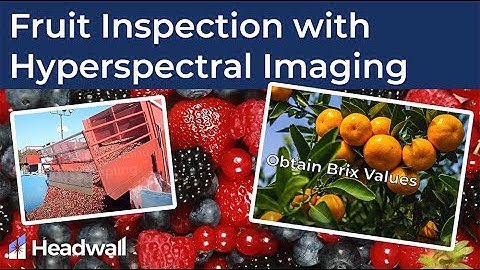 Fruit Inspection Ad NC text