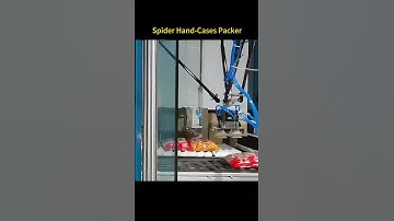 Spider Hand Cases Packer