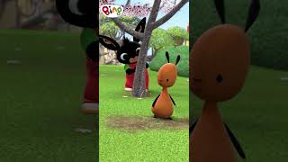 Bing is hiding in the park! | #Shorts | Bing Shorts