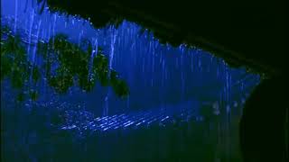 Lia Shine - Aden P2 8D