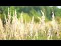 Capture de la vidéo Chasing Noise - Puzzles (Official Music Video)