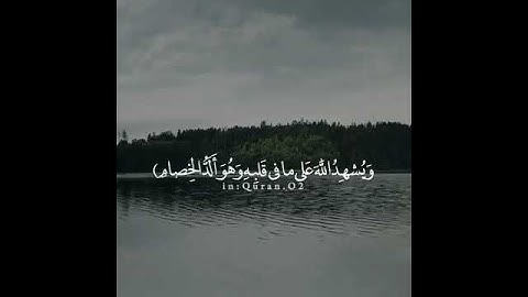 أجمل تلاوة خاشعة    ومن الناس من يعجبك  قوله في ال360P