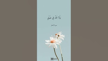 وَاصْبِرْ وَمَا صَبْرُكَ إِلَّا بِاللَّهِ ۚ قران كريم بصوت جميل جدا😍قران كريم سورة النحل تلاوة رائعة