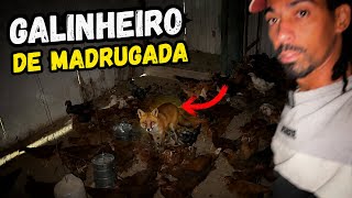 Sítio de madrugada