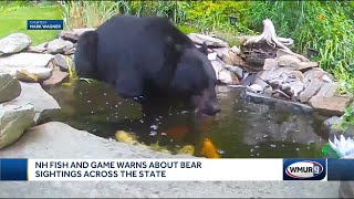 NH Fish and Game warns about bear sightings across the state